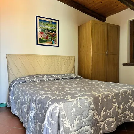 Le Ortensie * Termini